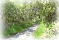 Click here an interactive map of one of our favourite walks.