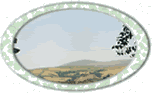 Scenic image